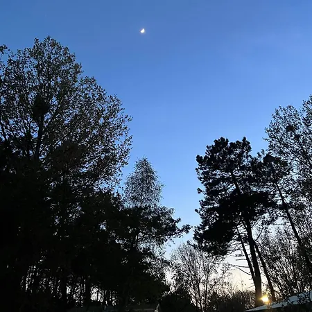 Mobile Luxe Au Calme - 6 Pers - 3 Ch - 2 Sdb 营地 卡米尔斯