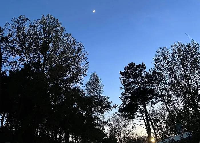 Mobile Luxe Au Calme - 6 Pers - 3 Ch - 2 Sdb Camping Camiers